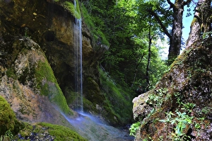 Schleierfaelle, Ammerschlucht, near Saulgrub