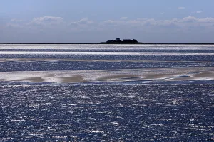 Schleswig-Holstein Wadden Sea National Park with a terp on the Hallig Langeness