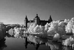 Schloss Johannisburg castle on the banks of the Main