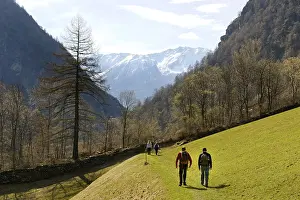 At the Schnalser Waalweg, Schnalswaalweg trail
