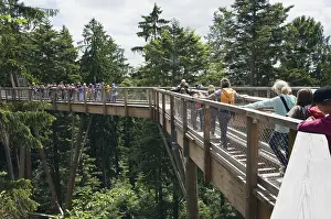 School children visiting the treetop walkway