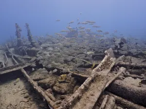 Category Coral Reefs DE Prints: A school of fish swims around a derelict shipwreck in the blue ocean