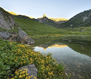 Schottmalhorn reflected in lake Funtensee at sunset
