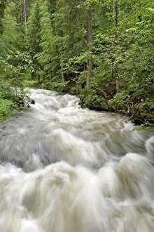 Schwarzwasserbach, torrential mountain stream after heavy rain