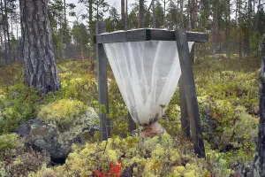 Science, bionomics, forest ecology
