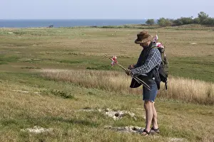 Scientific survey, mapping of cavity nesting birds
