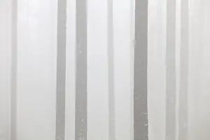 Scots Pine (Pinus sylvestris), tree trunks in coniferous forest in the mist