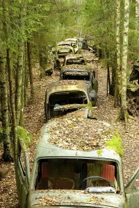 Scrap cars in a row in the forest