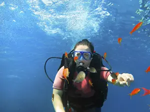 Scuba diver reaching out, surrounded by schooling tropical fish in clear blue ocean water