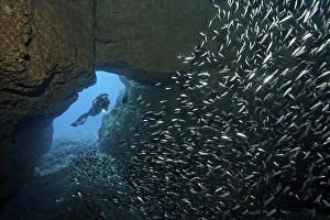 Scuba diver swimming through cave
