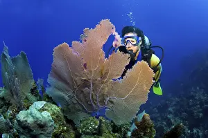 Scuba diver swimming behind a sea fan on a coral reef