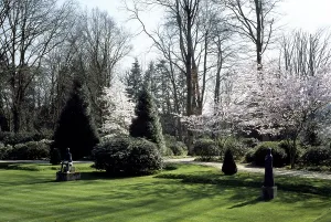Sculptures by Joseph Jaeckel with blossoming cherry trees