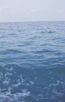 Sea
