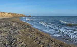 Sea coast dotted with mussel shells on the seashore near Odessa