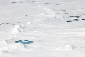 Sea ice at the ice edge, 82nd parallel