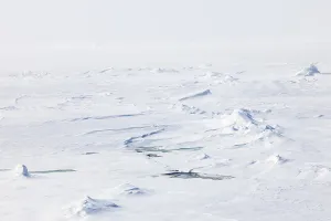 Sea ice at the ice edge, 82nd parallel