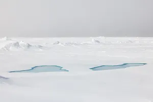 Sea ice at the ice edge, 82nd parallel
