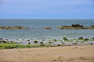 Sea with seagulls, rocks and waves