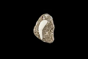 Sea stone of different shapes on black isolated background