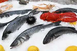 Seafood, restaurant in the old town of Nice