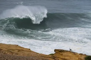 A seagull (Larinae) stands on a cliff overlooking a large wave in the Atlantic Ocean