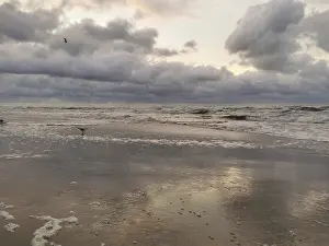 Seagulls fly over the waves of a stormy sea at dusk