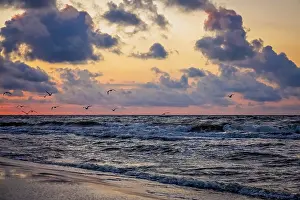 Seagulls flying over the sea beach in summer at sunset
