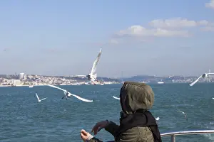 Seagulls are flying in sky over the sea waters