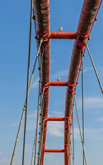 Three seagulls perched on top of dirty orange bridge with beautiful blue sky in background