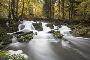 Selke Waterfall, autumn forest