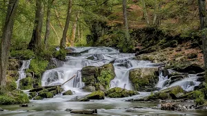 Selke Waterfall in the Harz Mountains Waterfall