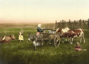 Selling milk directly on the pasture from a donkey cart