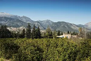 Selva, Serra de Tramuntana, Majorca