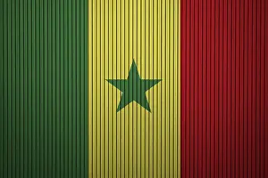 Senegal Flag painted on the cracked grunge concrete wall