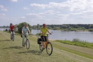 Senior citizens cycling on the Elbe river cycle path