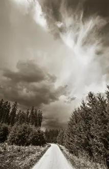 Sepia-coloured, forest path through a coniferous forest with threatening storm clouds in the sky