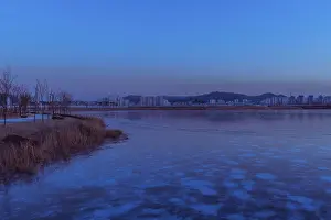 Serene dawn with a waterfront city skyline and ice in the foreground