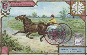 Series Carriages and Harnesses