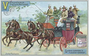 Series Carriages and Harnesses