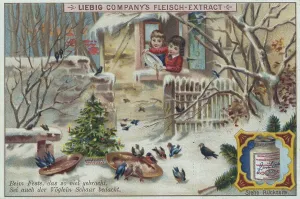 Series of Christmas dreams and mishaps