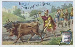 Series Der Argonautzug, Jason plows with the angry bulls