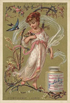 Series of Female Figures in Flowery Branches (1880) (Paris)