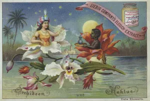 Series Flowers and Legends, Orchid and Cactus