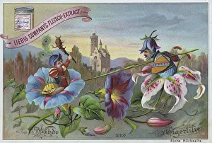 Series Flowers and Legends, Winds and Tiger Lily