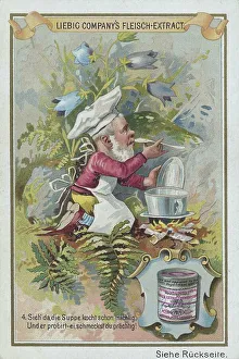 Series of the gnome uses Liebig meat extract