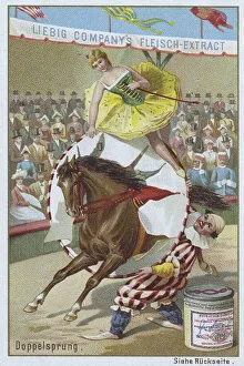 Series of horse dressage in the circus