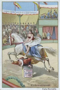 Series of horse dressage in the circus