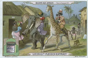 Series Pictures from Africa, Sunday Ride with Giraffe and Elephant