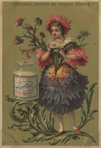Series of pictures Flower Girl I