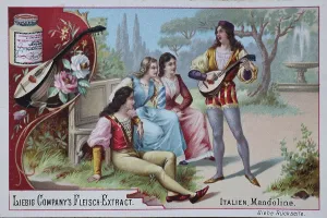 Series of pictures of musical instruments